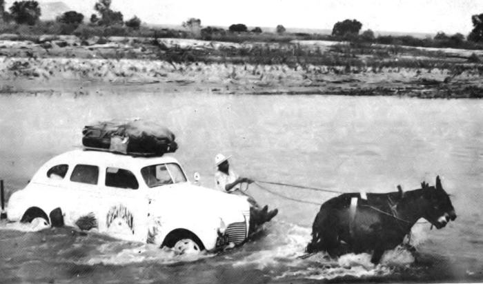 Mules pull the car across a river